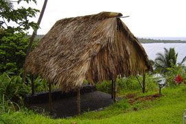 Treatments in the the Hawaiian Hale.