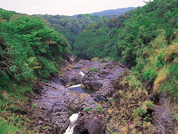 The pools of ‘Oheo at Kipahulu 