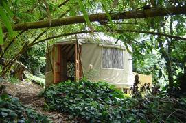 Treatments in the privacy of a serene yurt.